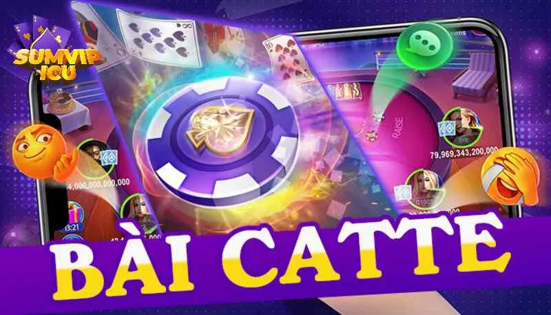 Lựa chọn địa điểm cá cược uy tín khi đánh catte